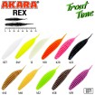 Силиконови примамки Akara Trout Time Rex 6.3 см - 10 броя в опаковка