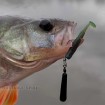 Силиконови примамки M5 Craft Joker Shad 6.4 см - 8 броя в опаковка