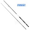 Спининг въдица Filstar Deep Monster с дължина 3.1 м и тест 40 - 120 г