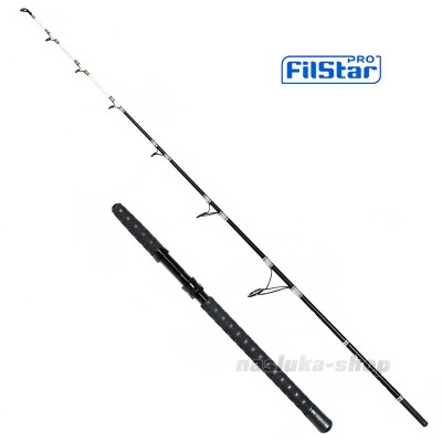 Въдица за риболов на сом Filstar Extreme Cat 1.80 м, 200 г
