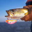 Yo-Zuri 3D Inshore Surface Minnow - плаващ / floating воблер за морски риболов
