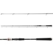 Daiwa 23 Exceler Spin 2.4 м - въдица за риболов на щука