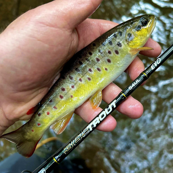 Ултралайт спининг въдица Filstar 365 Trout Spin EVO 54UL, 1.65 м, 1-7 г — снимка 3