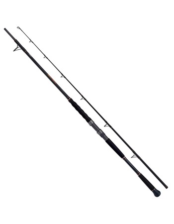 Въдица за сом Shimano BeastMaster Catfish 2.20 м, 30-120 г