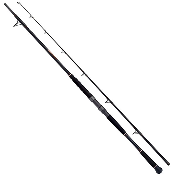 Въдица за сом Shimano BeastMaster Catfish 2.20 м, 30-120 г — снимка 1