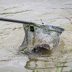 Глава за кеп Matrix Carp Landing Net