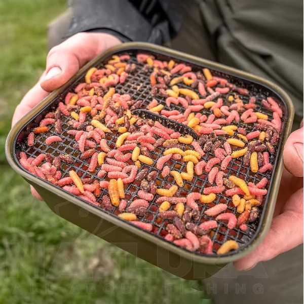 Кутия със сито за бели червеи Korum Maggot Tub and Riddle, 1.2 л — снимка 2