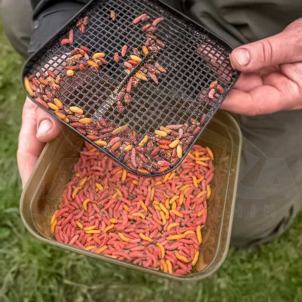 Кутия със сито за бели червеи Korum Maggot Tub and Riddle, 1.2 л — снимка 3