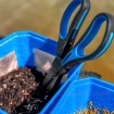 Двойна ножица за рязане на червеи Preston Worm Scissors