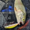 Потъващ воблер Yo-Zuri 3DR-X Flat Heavy Minnow S 80 мм, 13 г, цвят PPBT