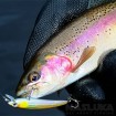 Плаващ воблер Yo-Zuri Pin's Minnow F 70 мм, 4 г, цвят BL