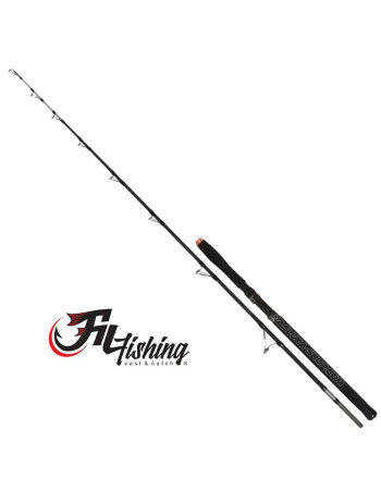 Въдица за сом Fil Fishing Hercules Catfish 1.98 м, 100-300 г