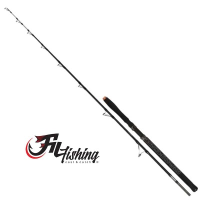 Въдица за сом Fil Fishing Hercules Catfish 1.98 м, 100-300 г