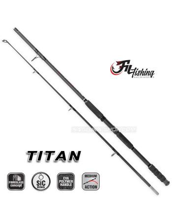Въдица за сом Fil Fishing Titan X Strong 3 м, 400 г