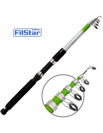 Телескопична въдица Filstar Power Glass Tele 20-50 г