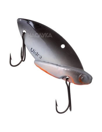 Цикада Vidra, цвят 04