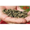 Пелети за Амур Carp Zoom Amur Pellets