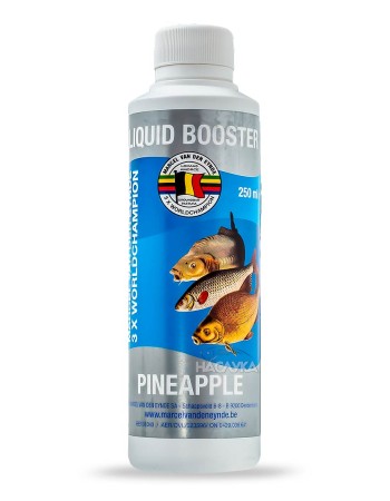 Течна добавка Van Den Eynde Liquid Booster Pineapple, Ананас
