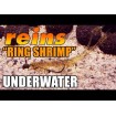 Силиконови примамки Reins Ring Shrimp 7.6 см - 10 броя в опаковка