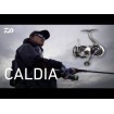 Макара Daiwa 25 Caldia LT 1000 - спининг макара с преден аванс