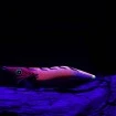 Калмарка Hayabusa Squid Junky Lively Dart - доказано качество от Наслука