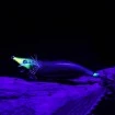 Калмарка Hayabusa Squid Junky Lively Dart - доказано качество от Наслука