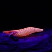 Калмарка Hayabusa Squid Junky Lively Dart - доказано качество от Наслука