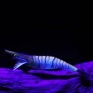 Калмарка Hayabusa Squid Junky Lively Dart - доказано качество от Наслука
