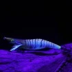 Калмарка Hayabusa Squid Junky Lively Dart - доказано качество от Наслука