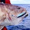 Джиг за риболов Shimano Ocea Flat Light