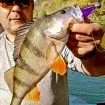 Силиконови примамки M5 Craft Baby Bream 10 см - 3 броя в опаковка