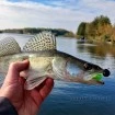 Силикони за риболов на Костур, Кефал, Пъстърва - Качество от Наслука