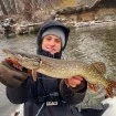 Силиконови примамки M5 Craft Chubby Shad 2.2" Lox Dark, 7 бр.