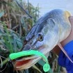 Силиконови примамки M5 Craft Fly Fish 6.3 см - 8 броя в опаковка