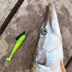 Силикони за риболов на Щука, Бяла риба, Костур, Бас - Качество от Наслука