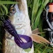 Силикони за Риболов на пъстърва M5 Craft Turbo Crayfish 2.0" Chart Neon Flake