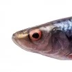Силиконови примамки Savage Gear Herring Shad 9.0 см -  броя в опаковка