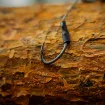 Black Cat Real Worm Teaser - примамка за сом