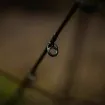 Black Cat Perfect Passion X Spin 2.60 м - въдица за риболов на сом