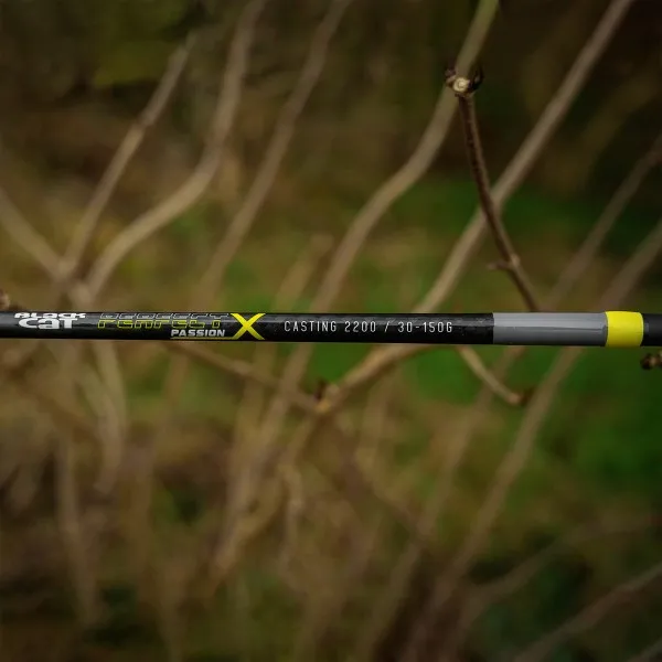 Въдица за сом Black Cat Perfect Passion X Casting 2.20 м, 30-150 г — снимка 9