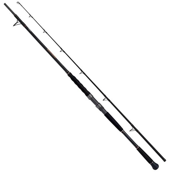 Въдица за сом Shimano BeastMaster Catfish 2.20 м, 30-120 г — снимка 1