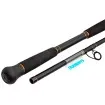 Shimano BeastMaster Catfish 2.2 м - въдица за тролинг и кльонк