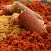 CC Moore Pacific Tuna - Захранка за риболов на шаран
