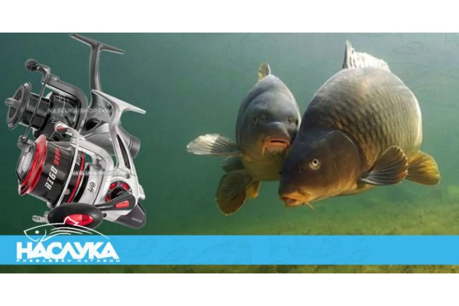 Как да изберем подходяща макара за риболов на шаран ?