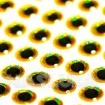 3D очи за изкуствени примамки Fil Fishing Fish Eyes - Gold