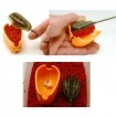 Преса за метод фидер Cralusso Orange Shell Mould