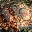 Фидер хранилка за бели червеи Preston Clik Cap Feeder - Medium