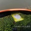 Овална глава за кеп с гумирана мрежа Browning Non-Snag Laytex M