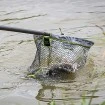 Глава за кеп Matrix Carp Landing Net