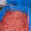 Кутия за стръв Preston Bait Tub 6pint - 3.4л